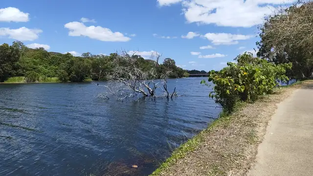 A wide river under a blue sky, with a dead tree standing in the water and a paved path running along the grassy bank.
